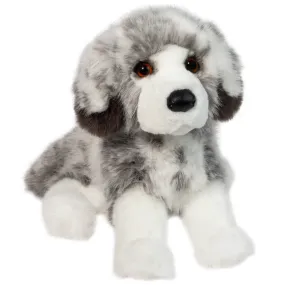 Skylar Aussie Dog